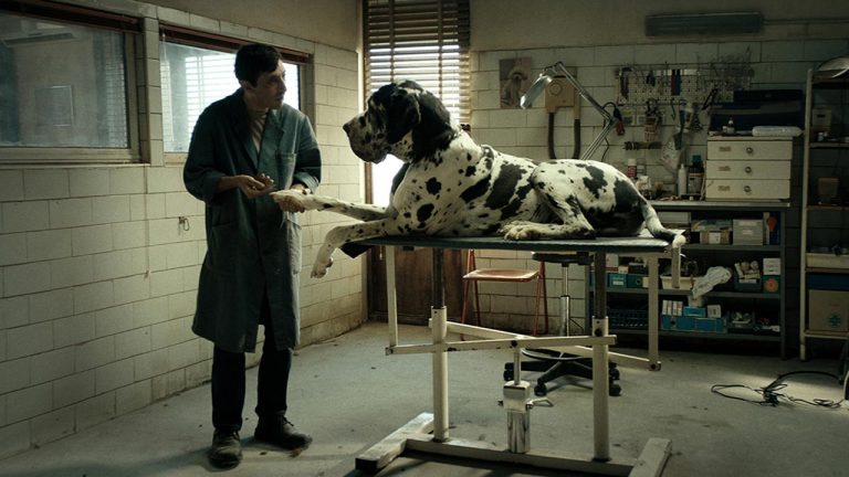 Dogman: no filme de Matteo Garrone é Marcello Fonte o homem que morde o cão