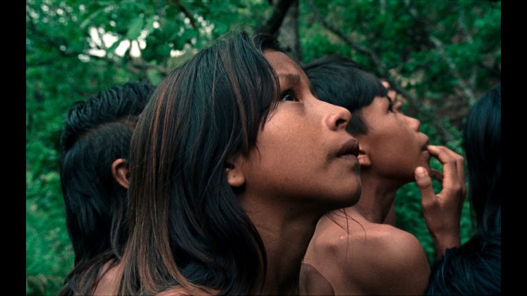 A Flor do Buriti: a vida e o cinema como ato de resistência