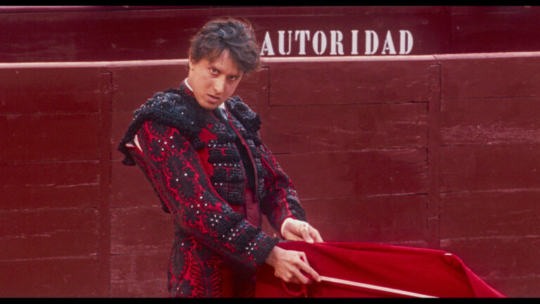 O olhar autoritário de Andrés Roca Rey, em 'Tardes de Solidão'